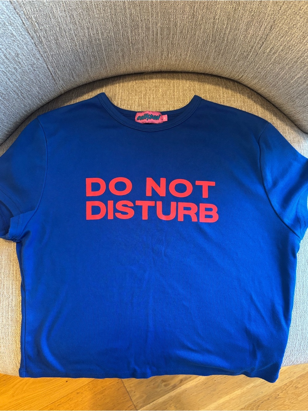 NWOT Edikted 'DO NOT DISTURB' Graphic Baby Tee shirt cropped streetwear Y2K genZ
